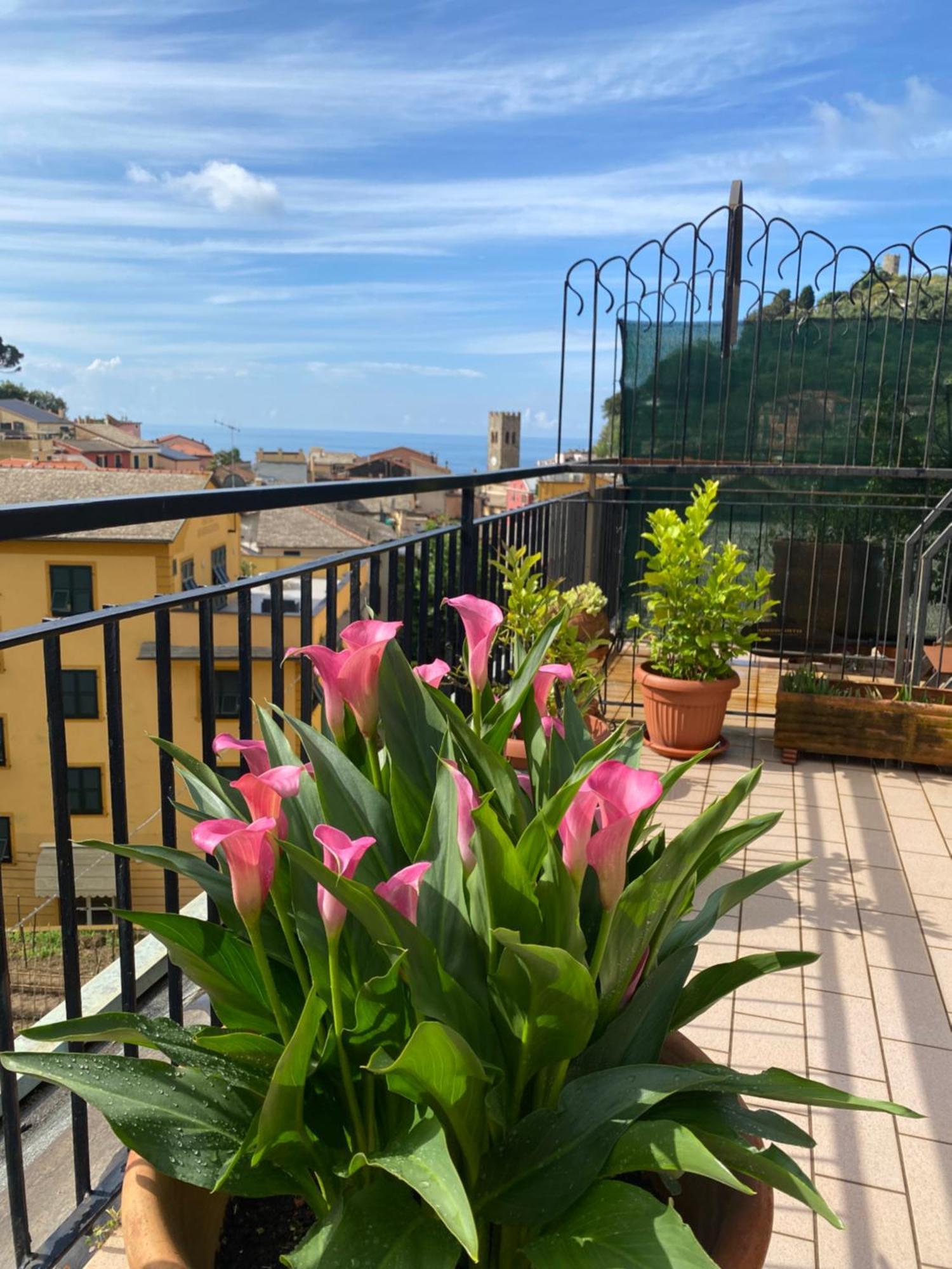 몬테로소 알 마레 La Terrazza Di Monterosso 아파트 외부 사진