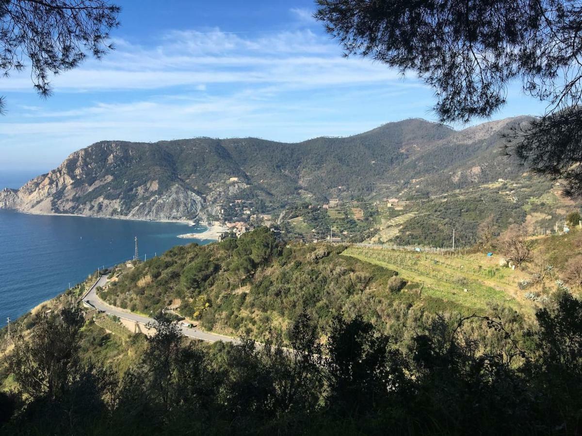 몬테로소 알 마레 La Terrazza Di Monterosso 아파트 외부 사진