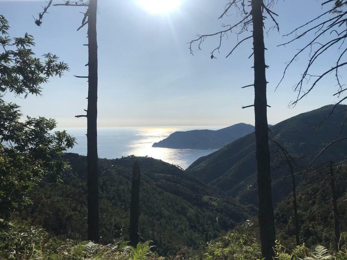 몬테로소 알 마레 La Terrazza Di Monterosso 아파트 외부 사진
